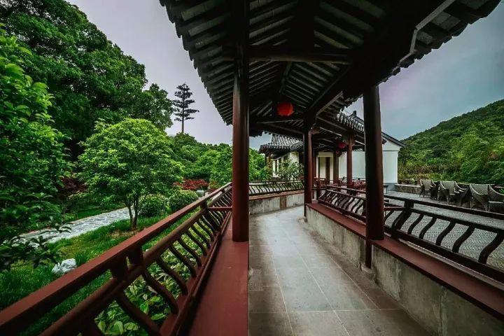 “铁晚”定档浙江卫视，小年夜播，阵容大
